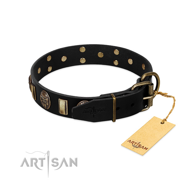 Full grain natural leather dog collar with strong buckle and studs