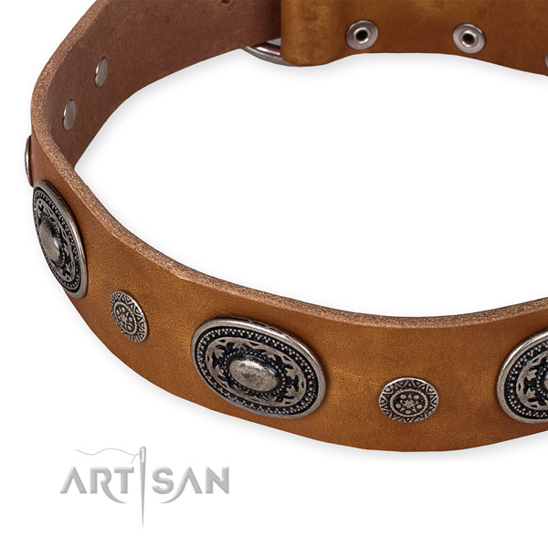 Strong genuine leather dog collar created for your impressive pet