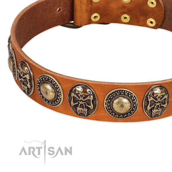 Rust-proof studs on genuine leather dog collar for your doggie