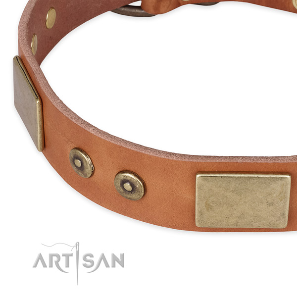 Strong hardware on genuine leather dog collar for your canine