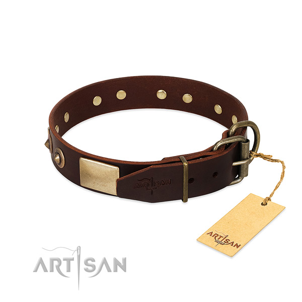 Rust-proof traditional buckle on walking dog collar