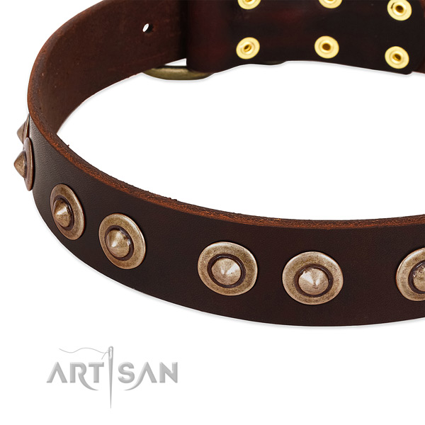 Durable embellishments on leather dog collar for your dog