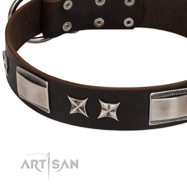 Quality genuine leather dog collar with rust-proof hardware