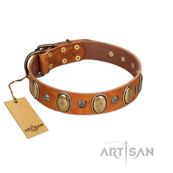 Fancy walking flexible full grain natural leather dog collar with studs