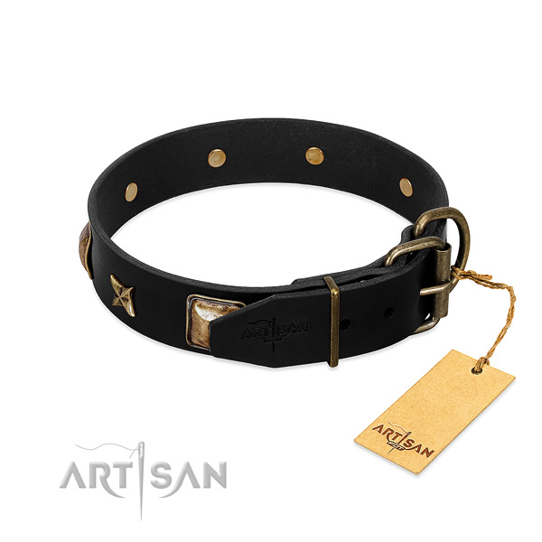 Corrosion proof hardware on full grain genuine leather collar for everyday walking your pet
