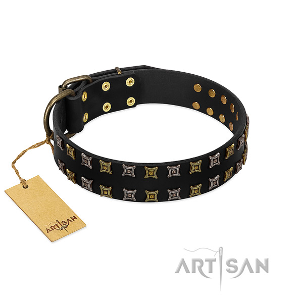 Durable genuine leather dog collar with adornments for your four-legged friend