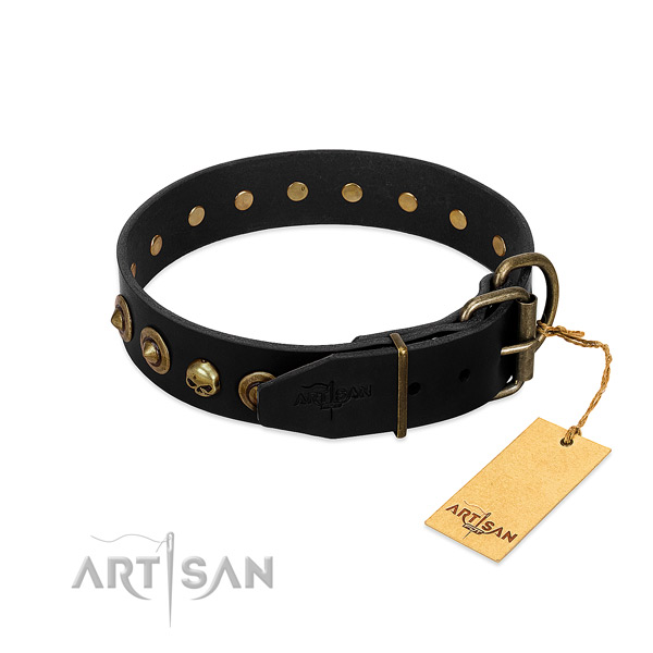 Leather collar with fashionable studs for your dog