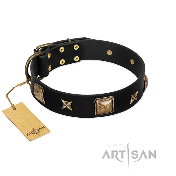 Genuine leather dog collar of quality material with trendy studs