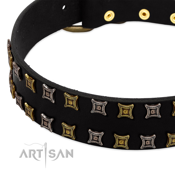 High quality leather dog collar for your handsome pet