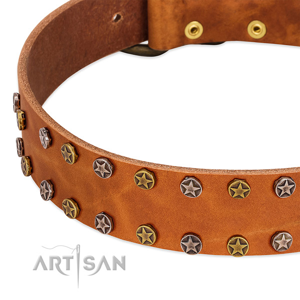 Daily walking full grain genuine leather dog collar with extraordinary decorations