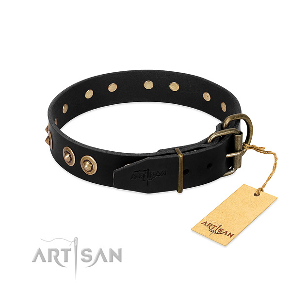 Rust resistant decorations on leather dog collar for your dog