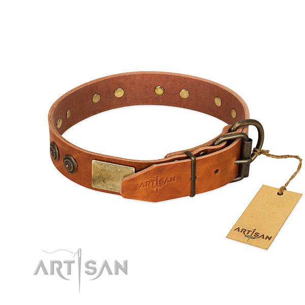 Rust-proof hardware on leather collar for fancy walking your pet