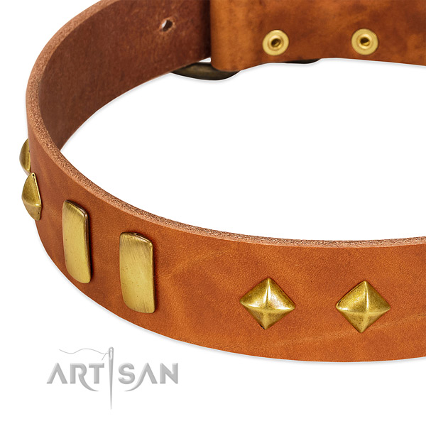 Daily use full grain genuine leather dog collar with inimitable studs