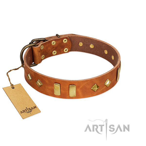 Fancy walking top notch natural leather dog collar with embellishments