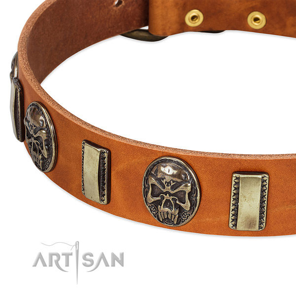 Corrosion proof traditional buckle on genuine leather dog collar for your four-legged friend
