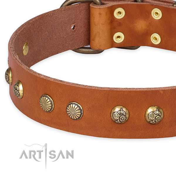 Natural genuine leather collar with rust-proof traditional buckle for your beautiful four-legged friend
