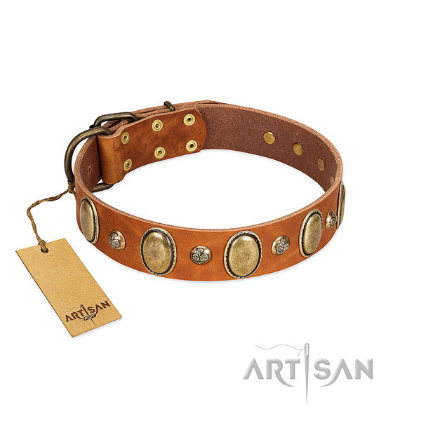 Full grain leather dog collar of soft material with significant studs