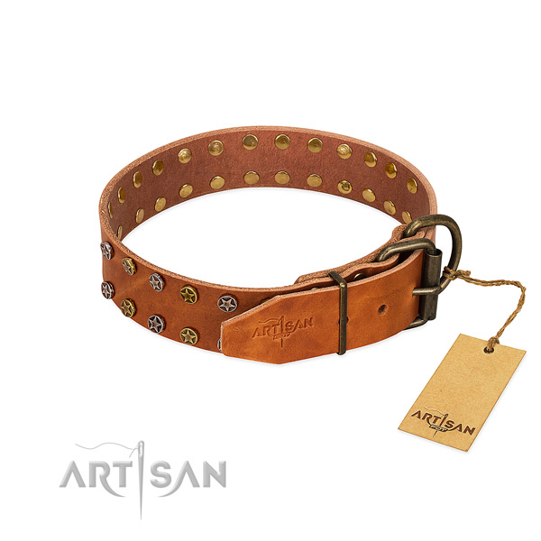 Daily use full grain genuine leather dog collar with exceptional studs