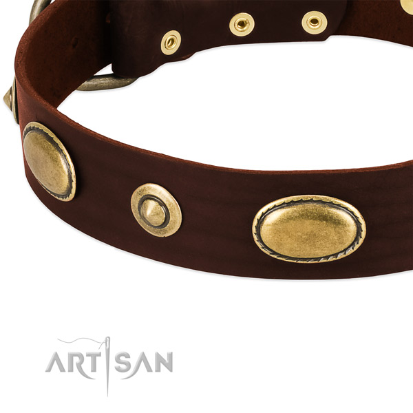Corrosion resistant buckle on full grain leather dog collar for your four-legged friend