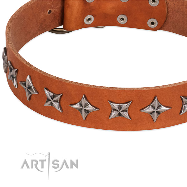 Everyday walking adorned dog collar of top quality full grain natural leather