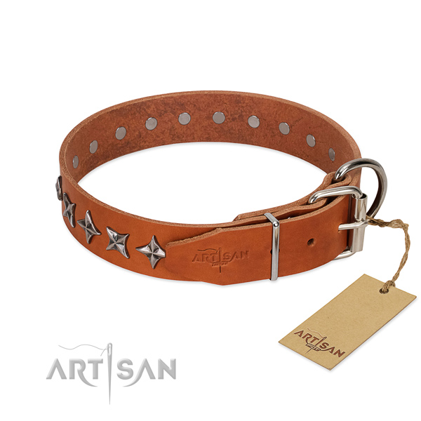 Fancy walking studded dog collar of strong full grain genuine leather