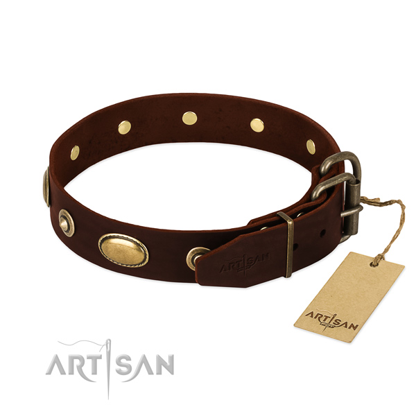 Strong adornments on full grain natural leather dog collar for your dog