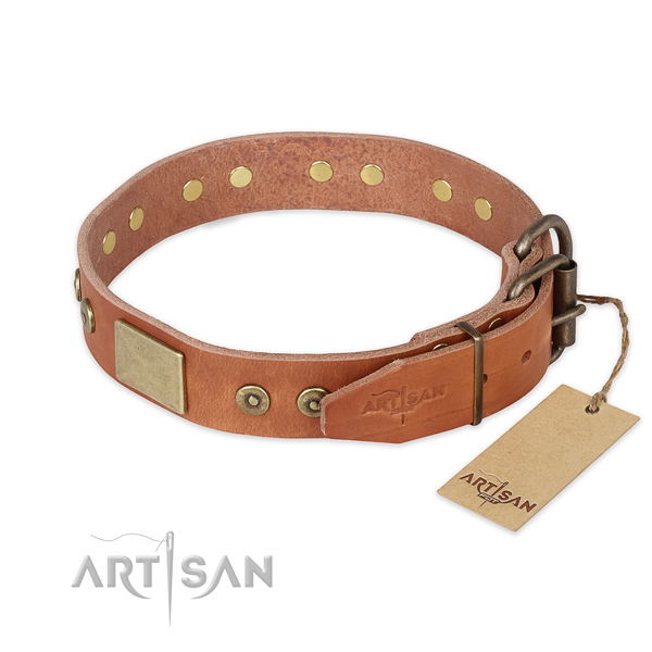 Rust-proof D-ring on leather collar for stylish walking your dog