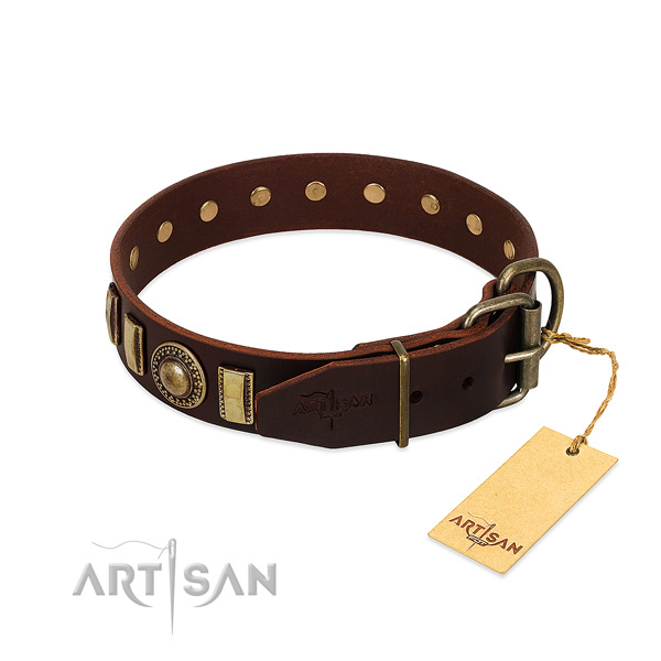 Designer leather dog collar with durable fittings