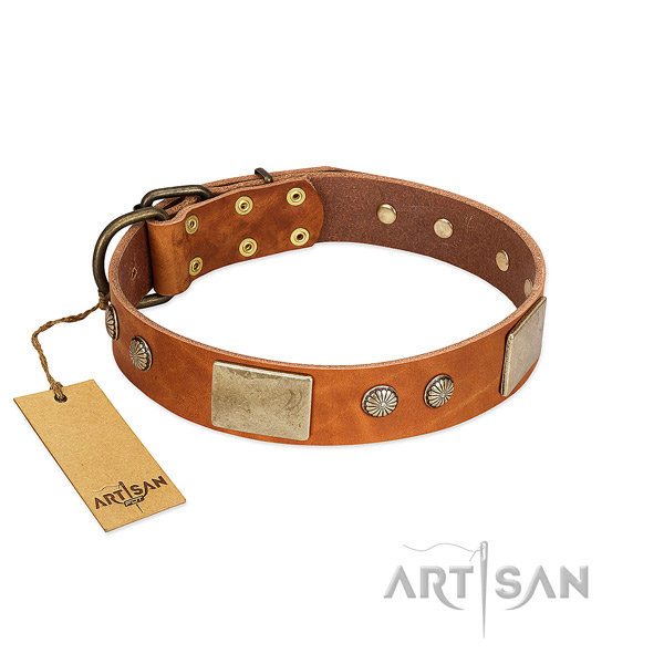 Adjustable leather dog collar for daily walking your four-legged friend