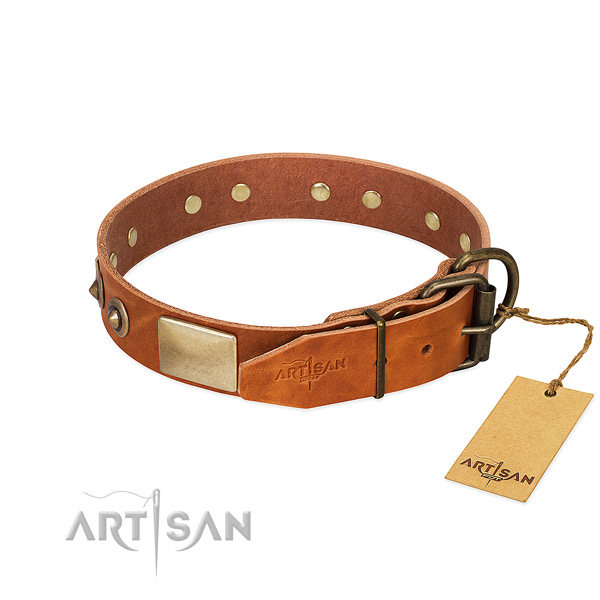 Reliable fittings on basic training dog collar