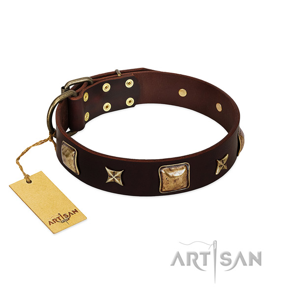 Amazing full grain natural leather collar for your four-legged friend