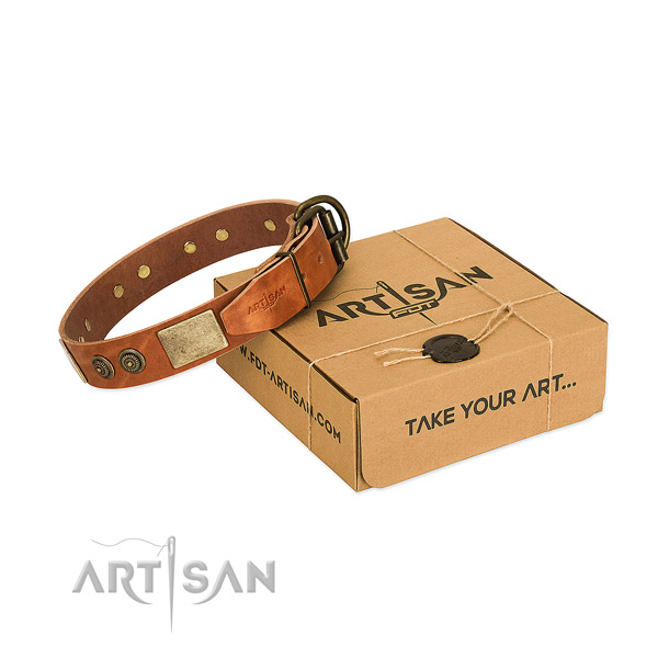 Rust-proof D-ring on full grain genuine leather dog collar for daily use