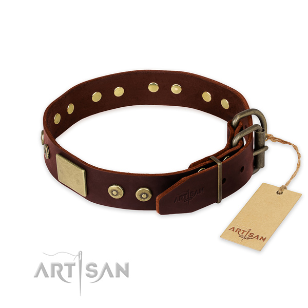 Rust resistant embellishments on daily use dog collar