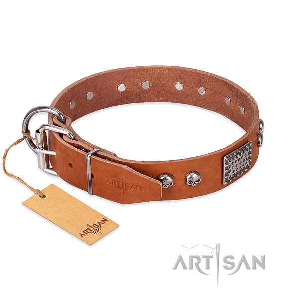 Corrosion resistant decorations on daily use dog collar