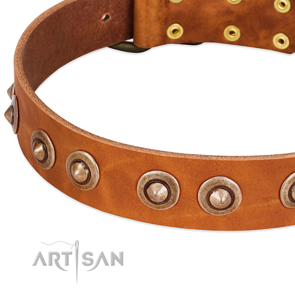 Corrosion resistant studs on full grain leather dog collar for your pet