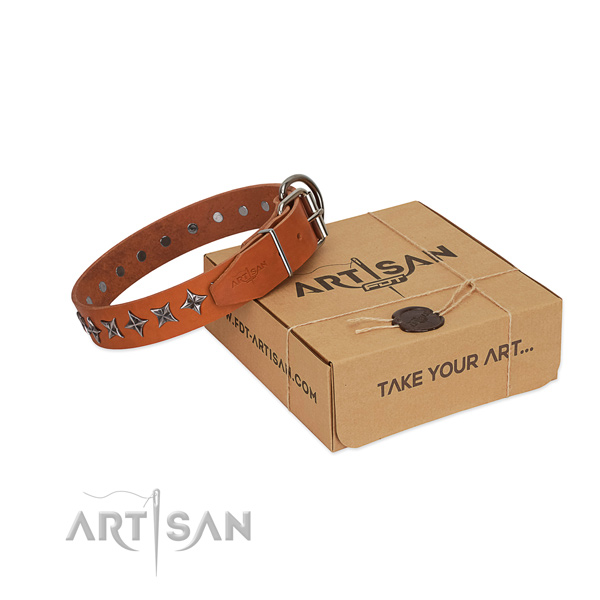 Fancy walking dog collar of best quality natural leather with embellishments
