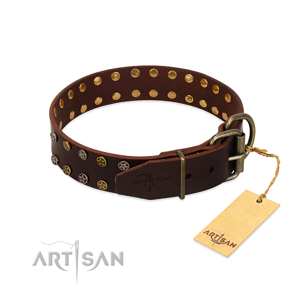 Daily use leather dog collar with exceptional embellishments