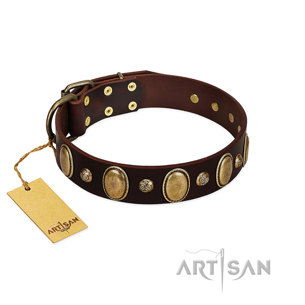 Full grain natural leather dog collar of quality material with designer decorations