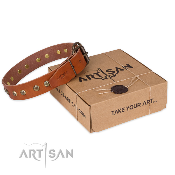 Strong traditional buckle on leather collar for your beautiful doggie