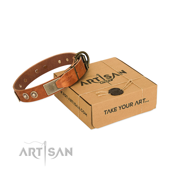 Durable decorations on dog collar for basic training