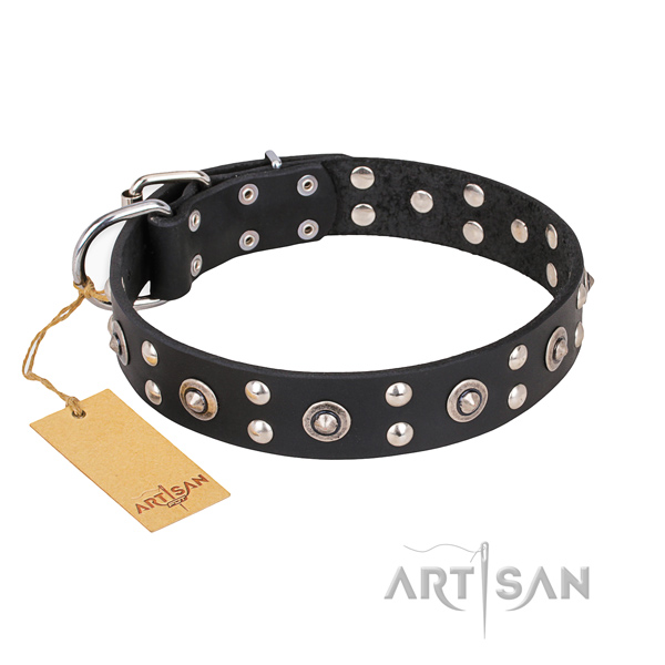 Daily use stylish dog collar with rust resistant hardware