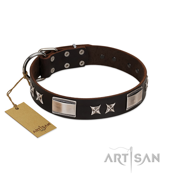 Top notch dog collar of full grain natural leather