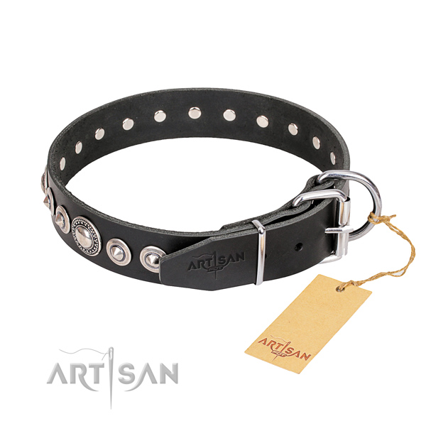 Quality embellished dog collar of full grain natural leather