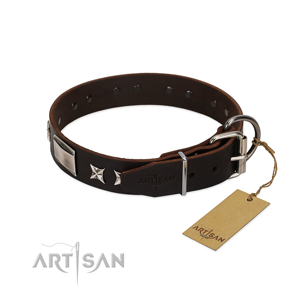 Easy wearing collar of leather for your stylish four-legged friend