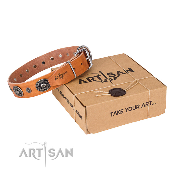 Reliable leather dog collar made for everyday use