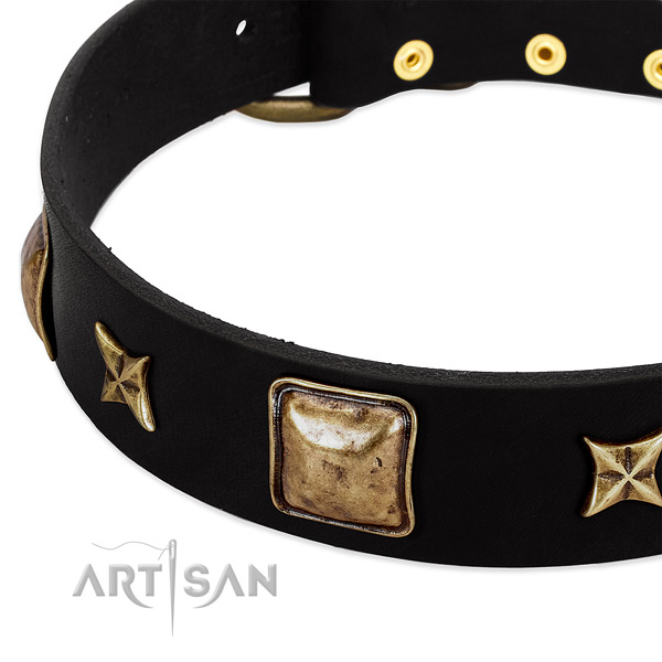 Full grain natural leather dog collar with awesome embellishments