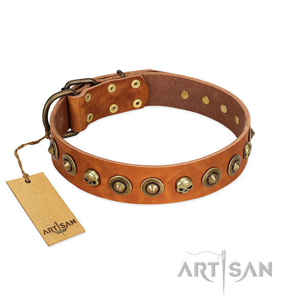 Leather collar with unique adornments for your dog