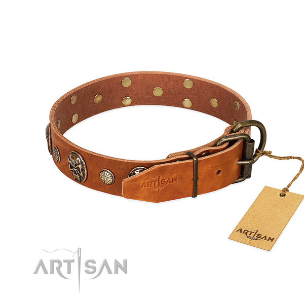 Rust resistant traditional buckle on genuine leather collar for everyday walking your doggie