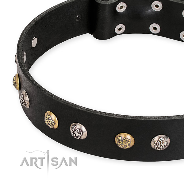 Natural genuine leather dog collar with unusual strong adornments