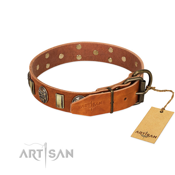Genuine leather dog collar with rust-proof traditional buckle and studs